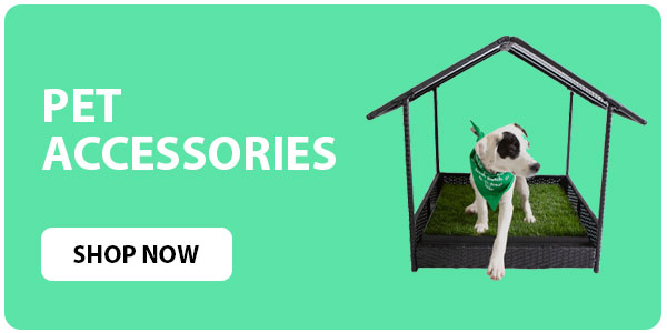 Pet Accessories