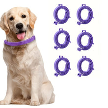 6-Pack Serene Dog Calming Collars with Pheromone Technology