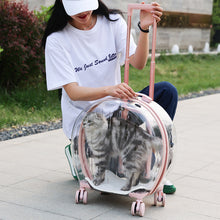 SeeThroughPaws™    |       Portable Transparent Trolley Case Cat Bag