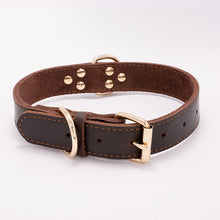 RuffRanger™  |  Dog Outdoor Collar