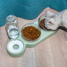 Automatic Pet Food And Feeder Bowl