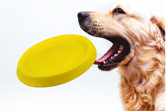 TossTech™ |  Pet Dogs Throwing Plastic Toys