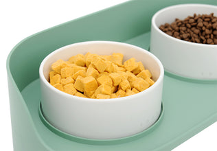 AutoPurrBox™   |  Ceramic Cat Vertebra Double Bowl