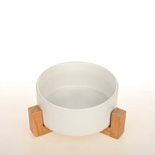 AutoPurrBox™   |  Ceramic Cat Vertebra Double Bowl