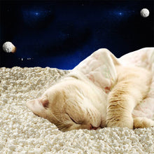 PuffPaws™    |  Space Puffed Sand Tofu Cat Litter