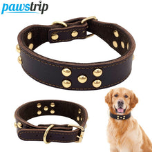 RuffRanger™  |  Dog Outdoor Collar