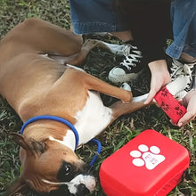 Portable Pet First Aid Kit