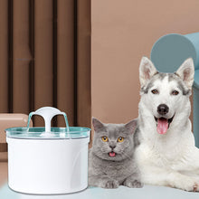 Electric Automatic Pet Water Fountain