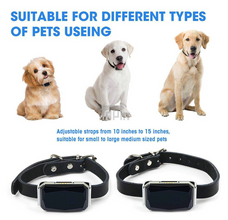 TrackTail™  | Pet Tracking Locator