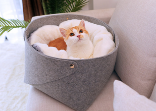 FelineDreams™  |  Pet Sleeping Cat Bed