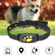 TrackPaws™  |   GPS Pet Tracker