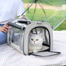 Outdoor Portable Transparent Pet Bag