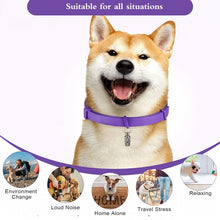 6-Pack Serene Dog Calming Collars with Pheromone Technology