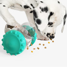 TumbleTreat™  | Pet Feeding Tumbler Toy