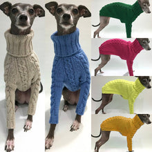 Winter Solid High Collar Dog Sweater