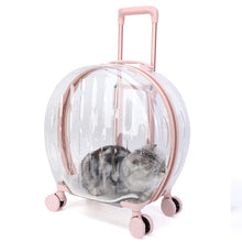 SeeThroughPaws™    |       Portable Transparent Trolley Case Cat Bag