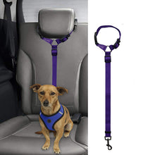 Car Backseat Pet Leash for stability