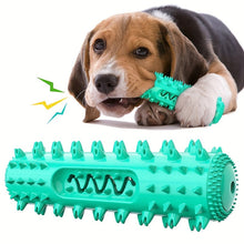 Durable Dog Tooth Cleaning Puzzle Chew Toy