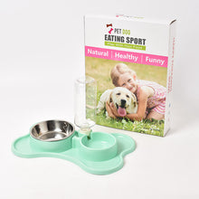 Pet automatic drinking water double bowl