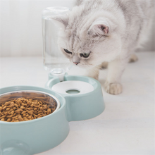 2 in 1 Pet Bottle And Feeder Bowl