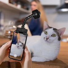 Pet Selfie Camera Tool