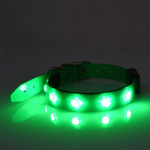 GlowPaws™  |  Luminous Waterproof Adjustable Cat And Dog Collar