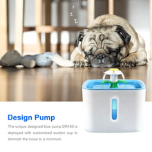 Pet Water Dispenser With Square Window