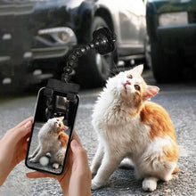 Pet Selfie Camera Tool