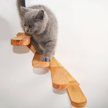 PawPathways™    |  Cats Climbing Ladders On Solid Wood Walls