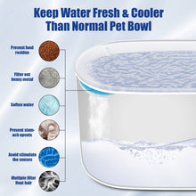 PurrSpring™  |   3L Cat Water Fountain Filter Automatic Drinker