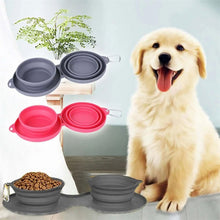 FlexiFeast™ | Pets Double Rubber Foldable Bowl