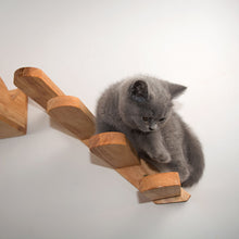 PawPathways™    |  Cats Climbing Ladders On Solid Wood Walls