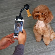 Pet Selfie Camera Tool