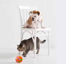 Pet New Self Rotating Intelligent Ball