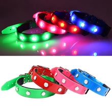 GlowPaws™  |  Luminous Waterproof Adjustable Cat And Dog Collar