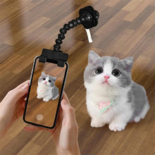 Pet Selfie Camera Tool