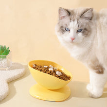 Anti-Tip Tilted Pet Feeding Bowl (1/2 pcs)