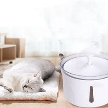 Electric Automatic Pet Water Fountain