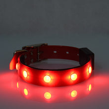 GlowPaws™  |  Luminous Waterproof Adjustable Cat And Dog Collar