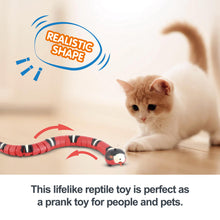 Smart Interactive Snake Toy for pets