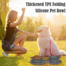 FlexiFeast™ | Pets Double Rubber Foldable Bowl