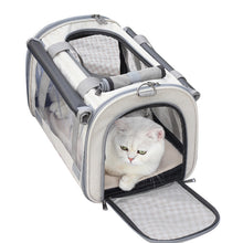 Outdoor Portable Transparent Pet Bag