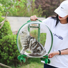 SeeThroughPaws™    |       Portable Transparent Trolley Case Cat Bag