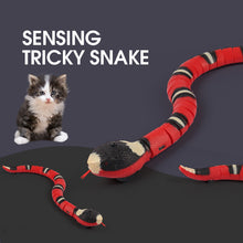 Smart Interactive Snake Toy for pets