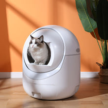 AutoPurrBox™   |  Fully Automatic Cat Litter Box