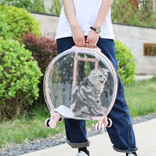 SeeThroughPaws™    |       Portable Transparent Trolley Case Cat Bag