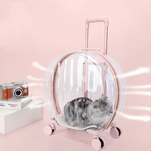 SeeThroughPaws™    |       Portable Transparent Trolley Case Cat Bag