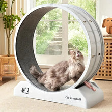 31.5-Inch Cat Exercise Wheel