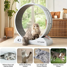 31.5-Inch Cat Exercise Wheel