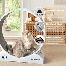 31.5-Inch Cat Exercise Wheel